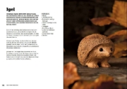 Buchcover und Innenansicht für das Buch: Waldtiere schnitzen