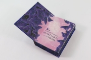 Buchcover und Innenansicht für das Buch: Moth Dark