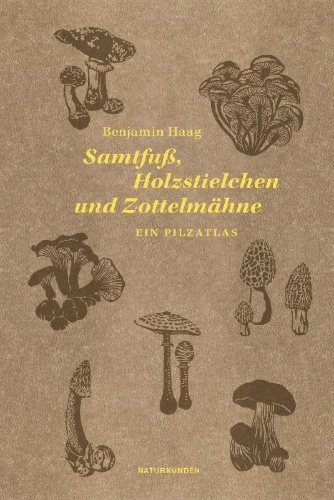 Buchcover und Innenansicht für das Buch: Samtfuß, Holzstielchen und Zottelmähne