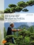 Buchcover und Innenansicht für das Buch: Die Kunst des Wolkenschnitts
