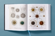 Buchcover und Innenansicht für das Buch: The Art and Science of Ernst Haeckel