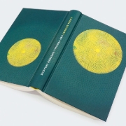 Buchcover und Innenansicht für das Buch: Proto. How One Ancient Language Went Global