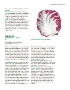Buchcover und Innenansicht für das Buch: Das große Gemüse- und Obstgartenbuch
