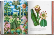 Buchcover und Innenansicht für das Buch: Plant Magick. The Library of Esoterica