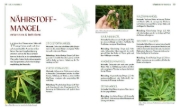 Buchcover und Innenansicht für das Buch: Cannabis-Anbau für Anfänger
