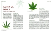 Buchcover und Innenansicht für das Buch: Cannabis-Anbau für Anfänger