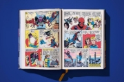 Buchcover und Innenansicht für das Buch: Marvel Comics Library. Spider-Man. Vol. 2. 1965-1966