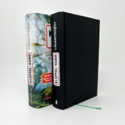 Buchcover und Innenansicht für das Buch: Lückenbüßer