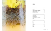 Buchcover und Innenansicht für das Buch: Fermentation