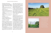 Buchcover und Innenansicht für das Buch: Heilsames Räuchern mit Wildpflanzen