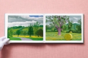 Buchcover und Innenansicht für das Buch: David Hockney. 220 for 2020