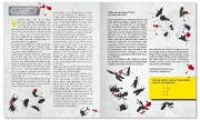 Buchcover und Innenansicht für das Buch: Escape-Adventskalender - Die Maske des Toten