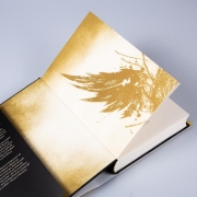 Buchcover und Innenansicht für das Buch: Harry Potter and the Cursed Child Parts One and Two: Special Rehearsal Edition Script
