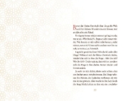 Buchcover und Innenansicht für das Buch: Der kleine Derwisch und die sieben Fragen des Lebens
