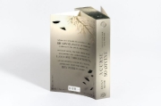 Buchcover und Innenansicht für das Buch: A Curse so Divine