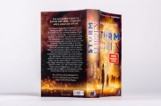 Buchcover und Innenansicht für das Buch: Sturmflirren