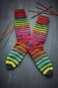 Buchcover und Innenansicht für das Buch: Auf die Socken, fertig, Weltrekord!