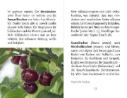 Buchcover und Innenansicht für das Buch: Kirschen