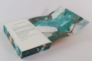 Buchcover und Innenansicht für das Buch: The Floating World (OT)