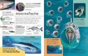 Buchcover und Innenansicht für das Buch: memo Wissen. Tiere