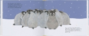 Buchcover und Innenansicht für das Buch: Kleiner Pinguin, bald bist du groß!