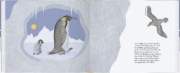 Buchcover und Innenansicht für das Buch: Kleiner Pinguin, bald bist du groß!