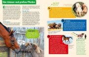 Buchcover und Innenansicht für das Buch: Was ist was: Pferde und Ponys