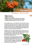 Buchcover und Innenansicht für das Buch: Geh raus! Deine Stadt ist essbar