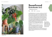 Buchcover und Innenansicht für das Buch: Grow your Jungle