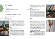 Buchcover und Innenansicht für das Buch: Grow your Jungle