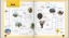 Buchcover und Innenansicht für das Buch: LONELY PLANET Bildband Wann am besten wohin mit Kids