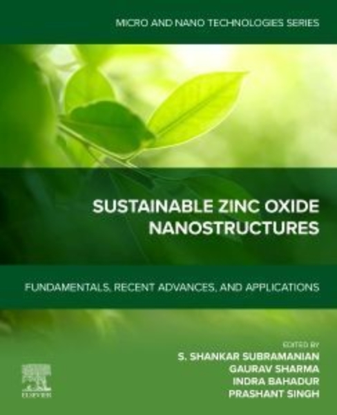 Buchcover und Innenansicht für das Buch: Sustainable Zinc Oxide Nanostructures