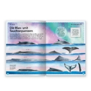 Buchcover und Innenansicht für das Buch: Trötsch Kinderbuch Das großartige Buch der Wale| Ab 8 Jahren