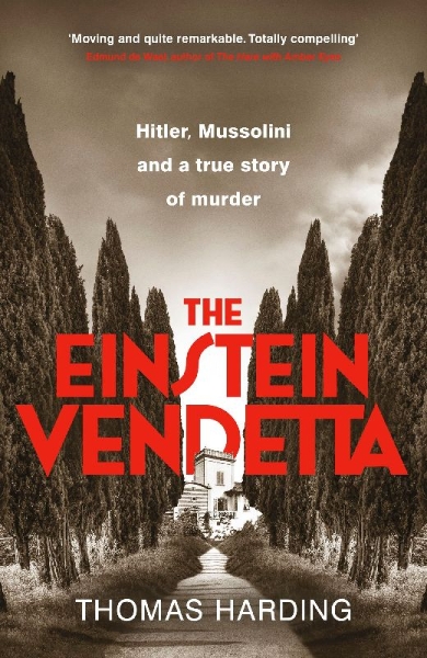 Buchcover und Innenansicht für das Buch: The Einstein Vendetta