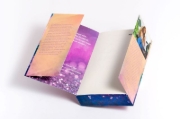 Buchcover und Innenansicht für das Buch: The Last Sunrise