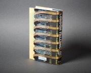 Buchcover und Innenansicht für das Buch: London Falling