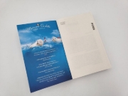 Buchcover und Innenansicht für das Buch: Treibholz