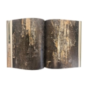Buchcover und Innenansicht für das Buch: ANSELM KIEFER- Becoming the Sea