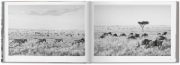 Buchcover und Innenansicht für das Buch: Sebastião Salgado. Africa
