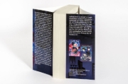 Buchcover und Innenansicht für das Buch: The God and the Gumiho