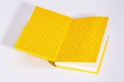 Buchcover und Innenansicht für das Buch: Alexander