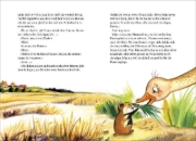 Buchcover und Innenansicht für das Buch: Stine Gans und ihre unglaubliche Reise