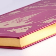 Buchcover und Innenansicht für das Buch: Disney: Das große goldene Buch der Pferde-Geschichten