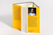 Buchcover und Innenansicht für das Buch: Systemversagen