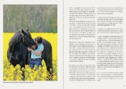 Buchcover und Innenansicht für das Buch: Equihypnose - Wege aus der Angst beim Reiten