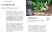 Buchcover und Innenansicht für das Buch: Heimische Pflanzen für den Garten