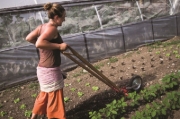 Buchcover und Innenansicht für das Buch: Le jardinier-maraîcher. Manuel d'agriculture biologique sur petite surface
