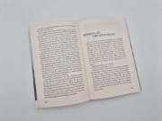 Buchcover und Innenansicht für das Buch: Sturz in die Tiefe