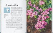 Buchcover und Innenansicht für das Buch: The Plant Hunters Atlas