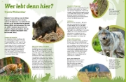Buchcover und Innenansicht für das Buch: WAS IST WAS Der Wald. Zwischen Blättern und Zapfen